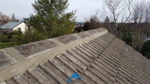 Repairing a roofing ridge in Dublin