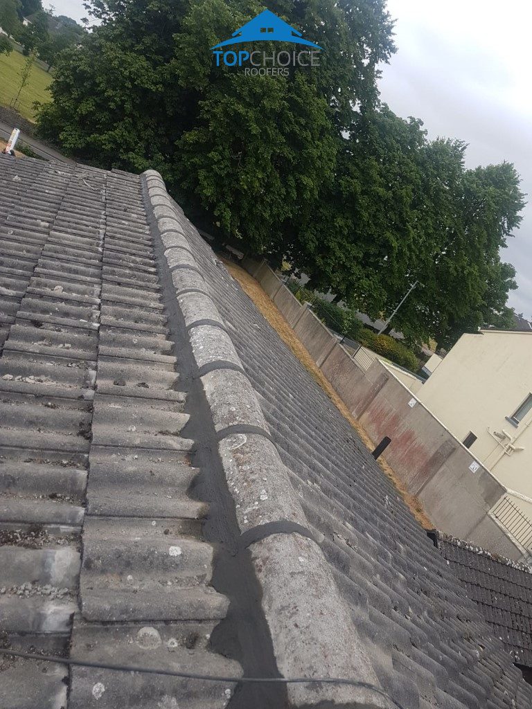 Roof Ridge Repair Clonskeagh, Dublin