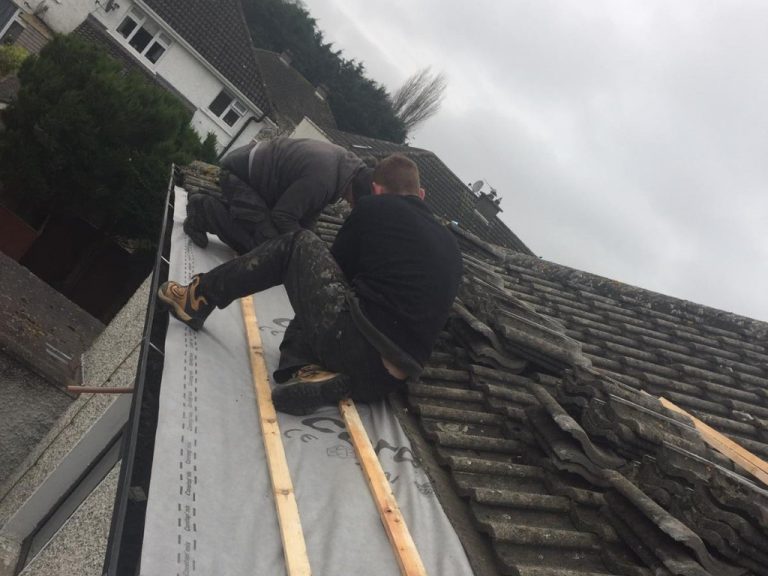 repairing leak in roof Dublin